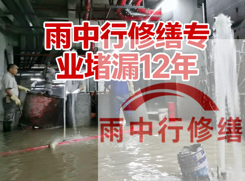 潍坊中国五矿某大型污水处理厂堵漏案例